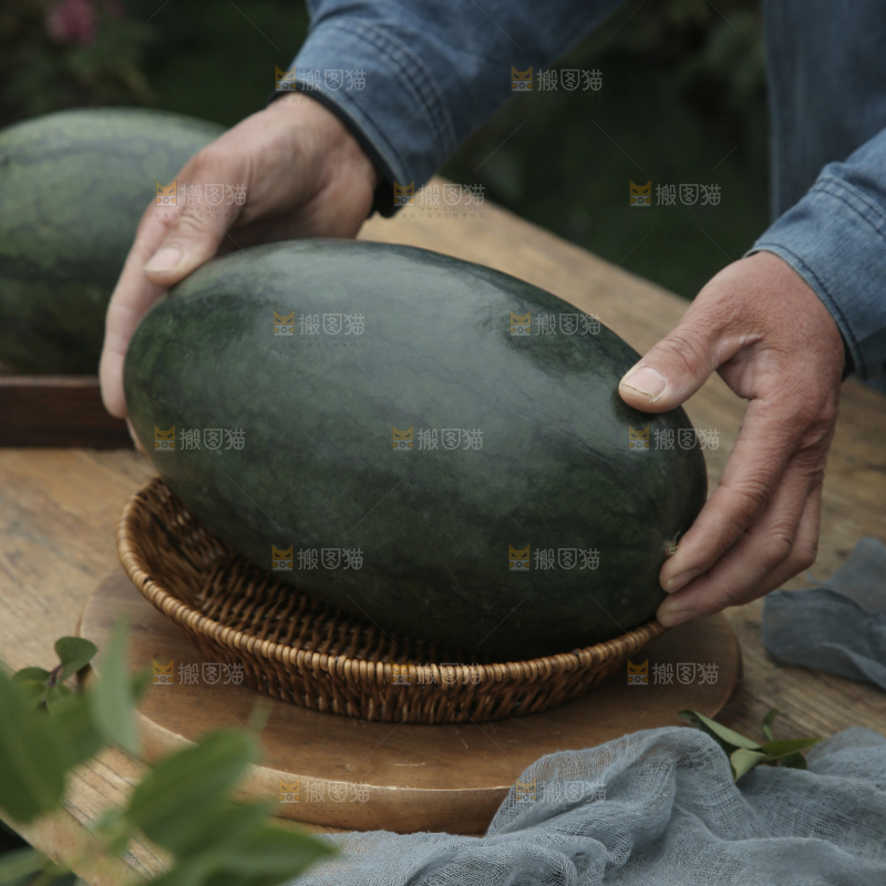 黑美人西瓜