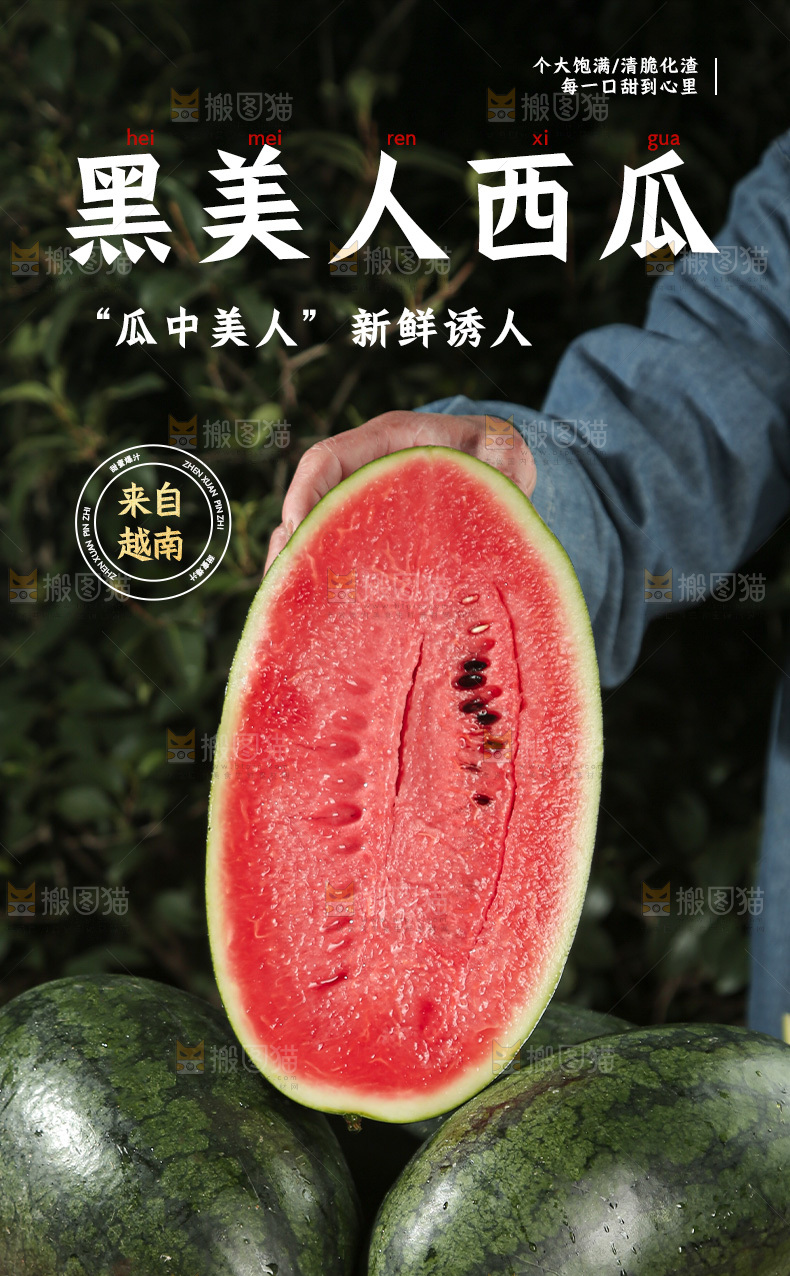 黑美人西瓜详情页