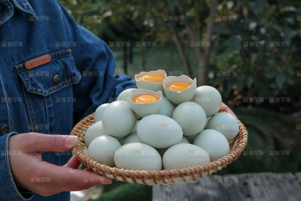 绿壳鸡蛋