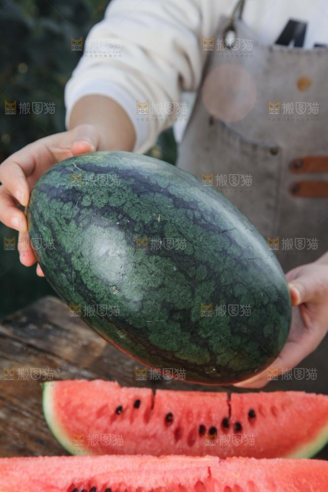 黑美人西瓜