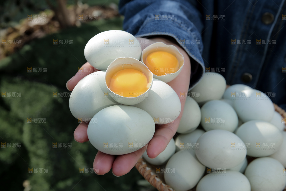绿壳鸡蛋