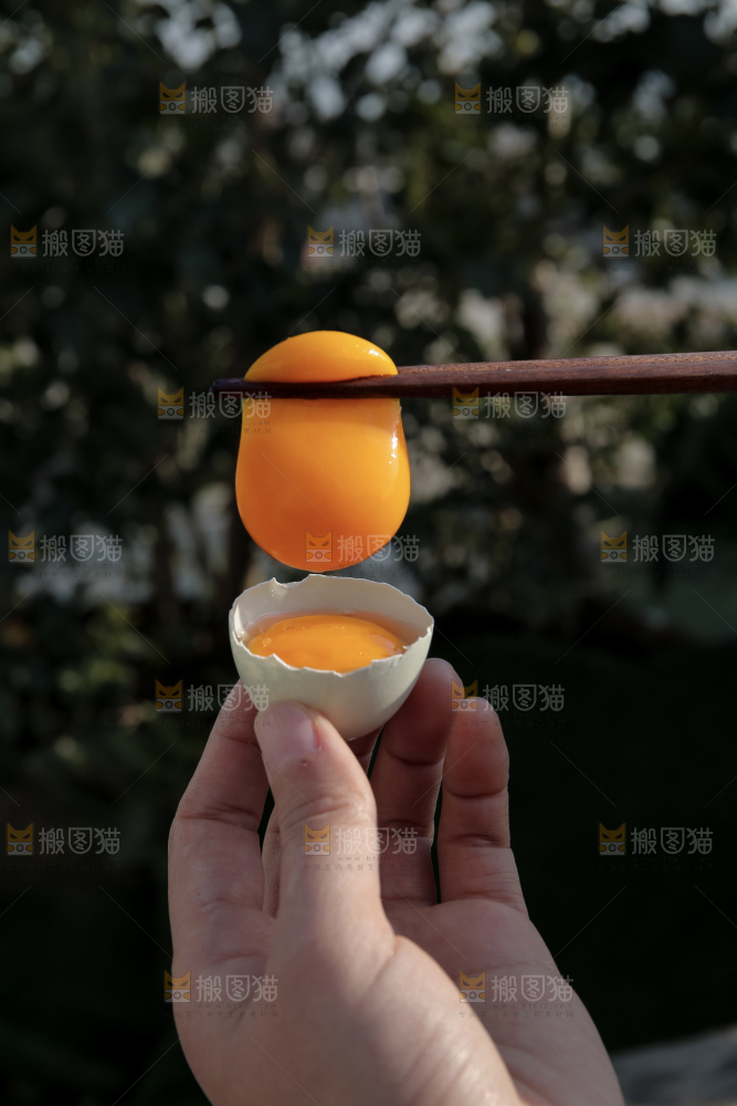 绿壳鸡蛋