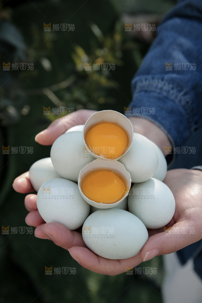 绿壳鸡蛋