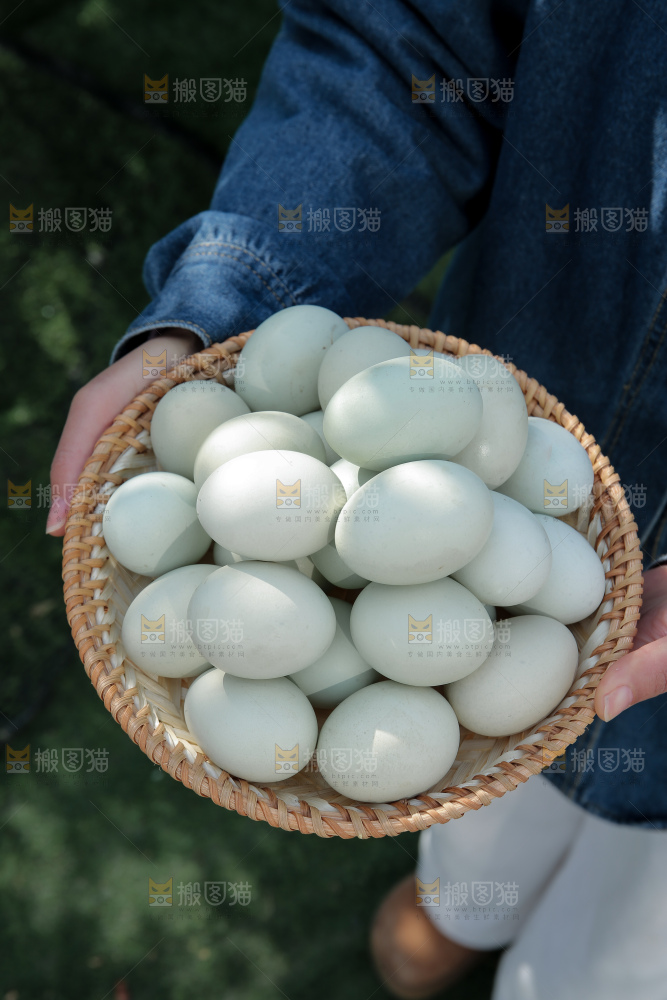 绿壳鸡蛋