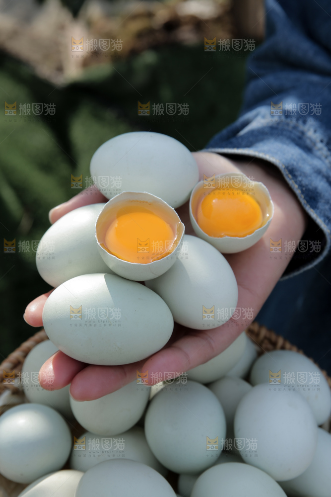绿壳鸡蛋