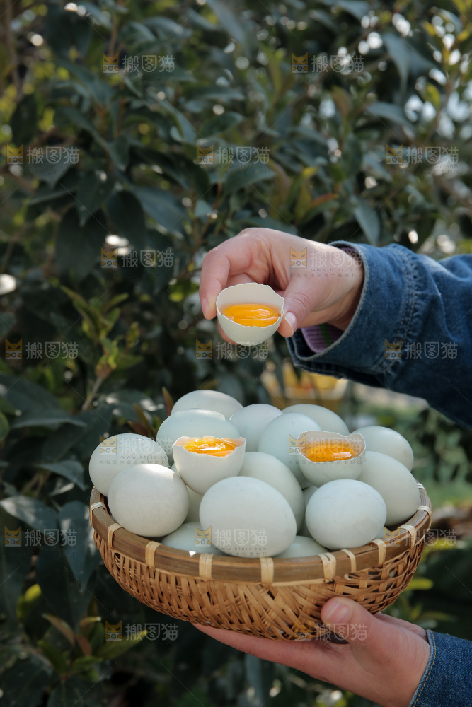 绿壳鸡蛋