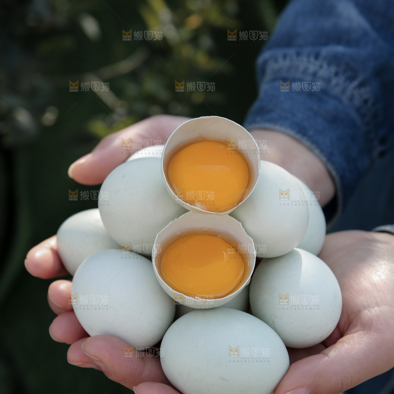 绿壳鸡蛋