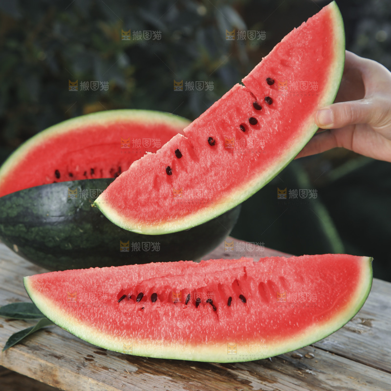 黑美人西瓜
