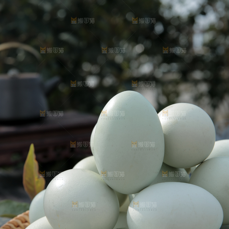 绿壳鸡蛋