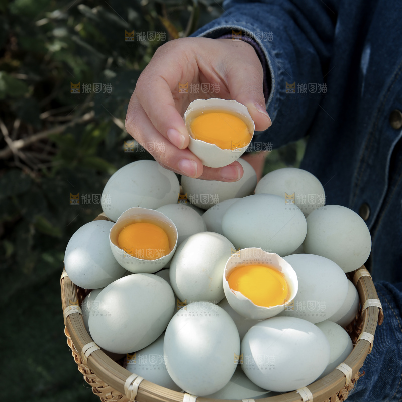 绿壳鸡蛋