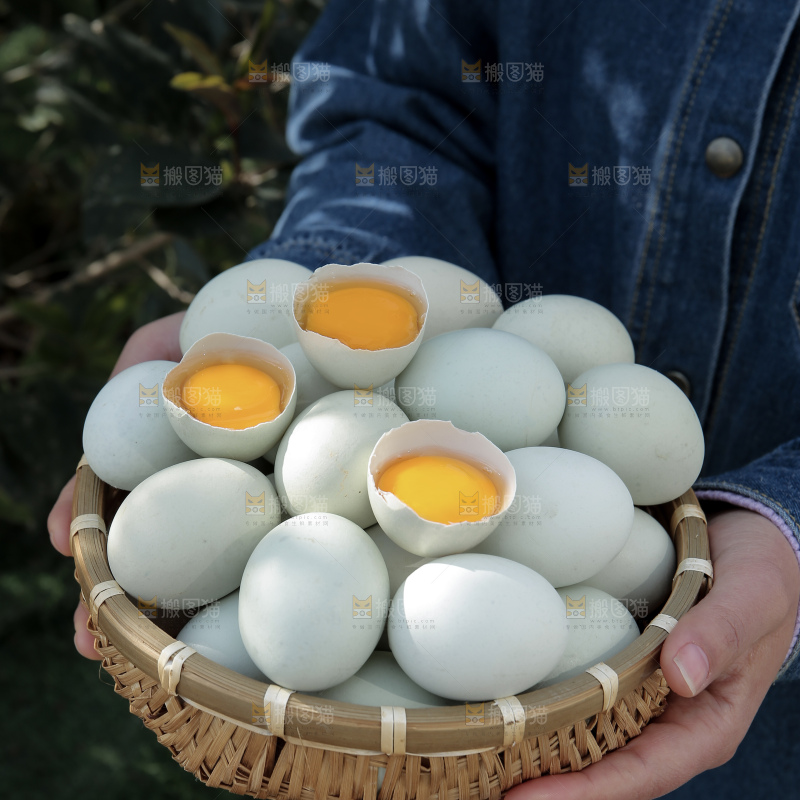绿壳鸡蛋