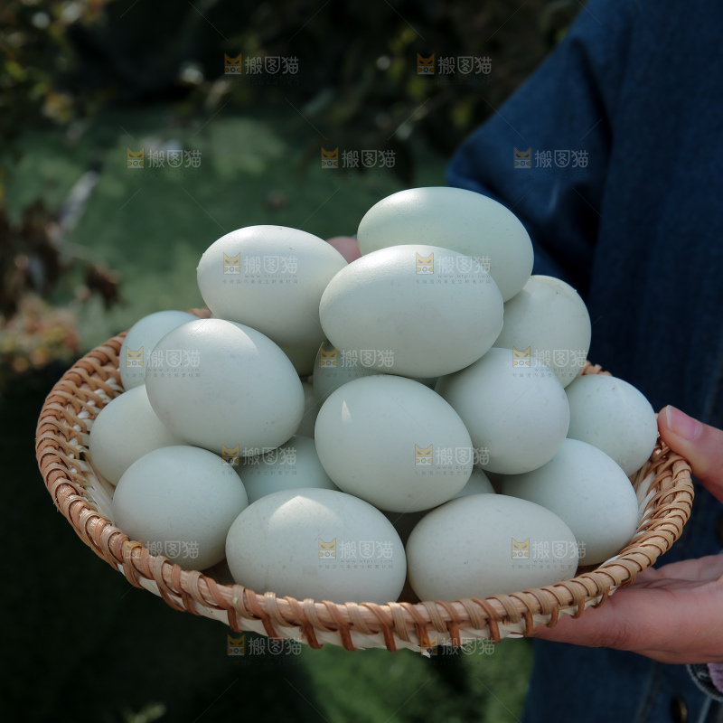 绿壳鸡蛋