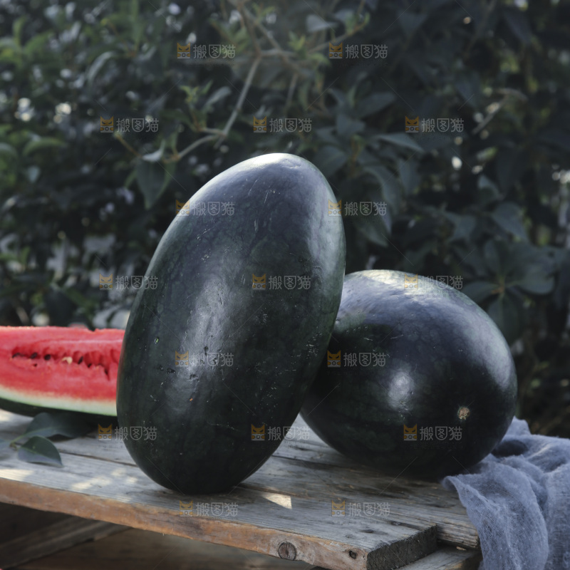 黑美人西瓜