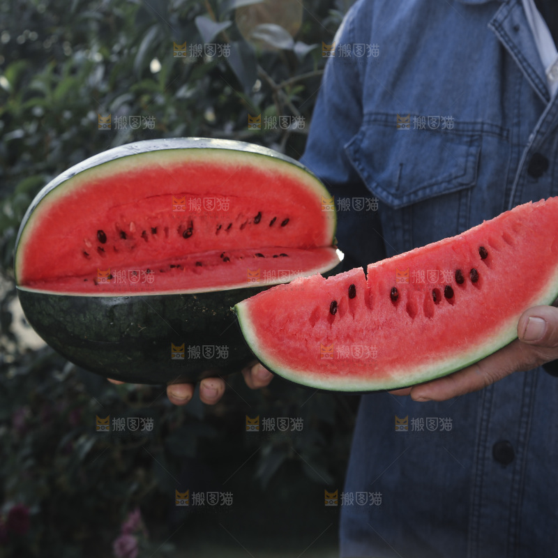 黑美人西瓜