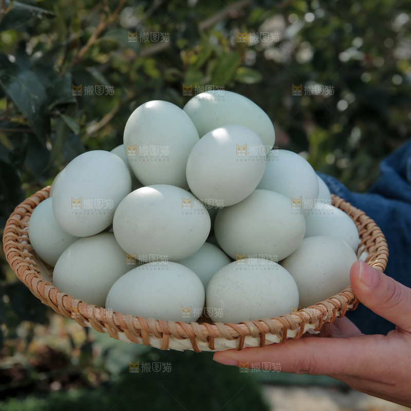 绿壳鸡蛋