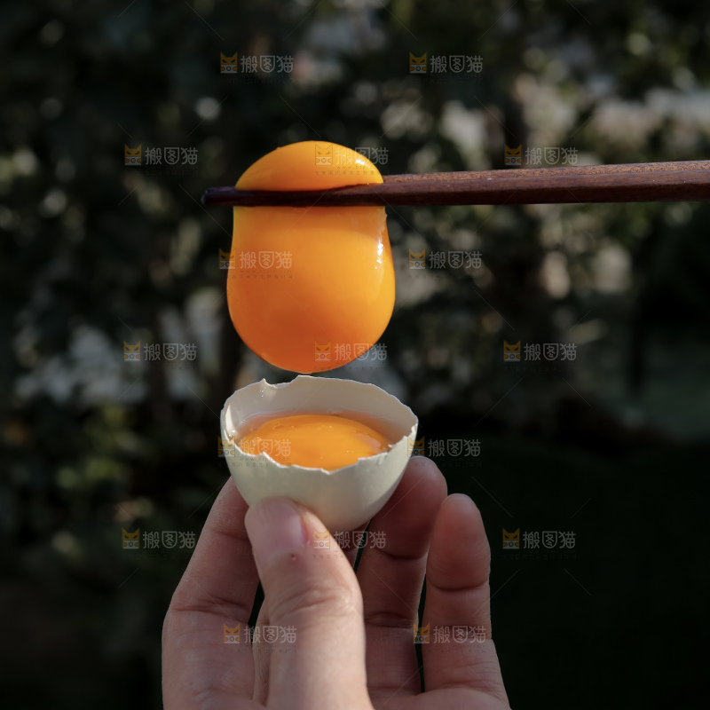 绿壳鸡蛋