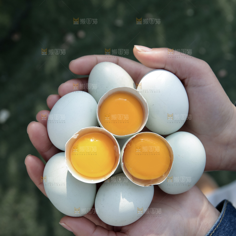 绿壳鸡蛋