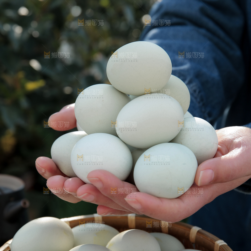 绿壳鸡蛋