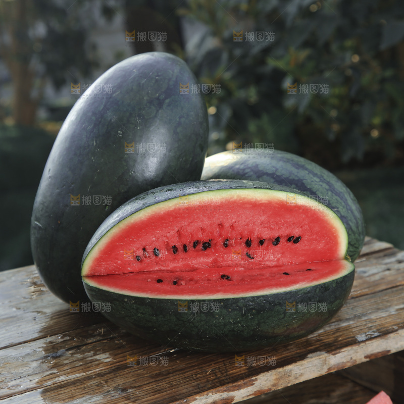 黑美人西瓜
