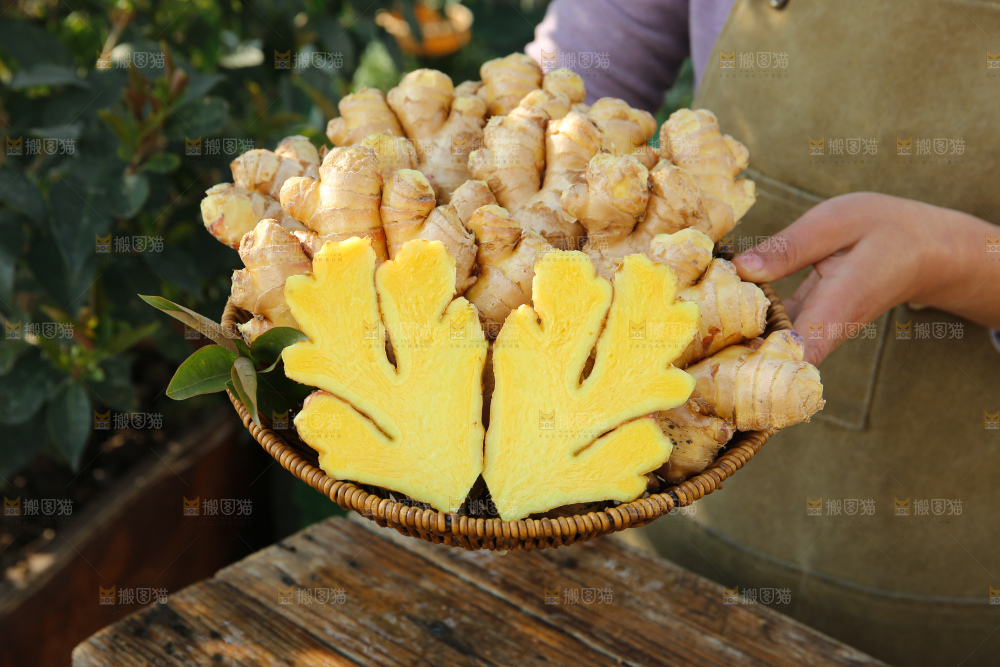 小黄姜