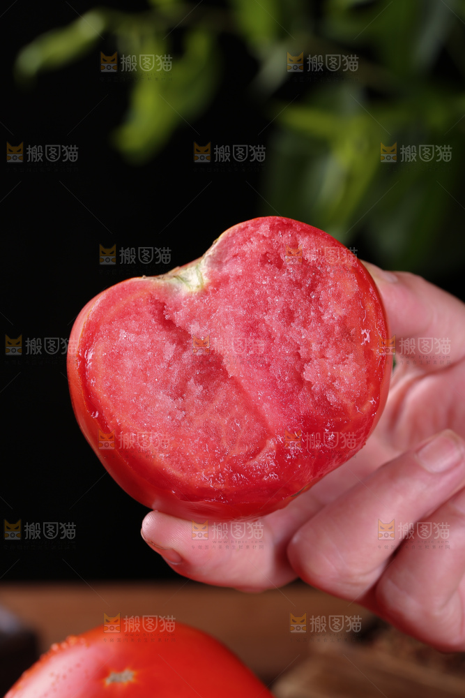 普罗旺斯西红柿