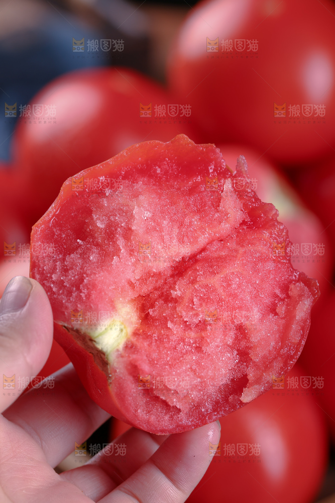 普罗旺斯西红柿