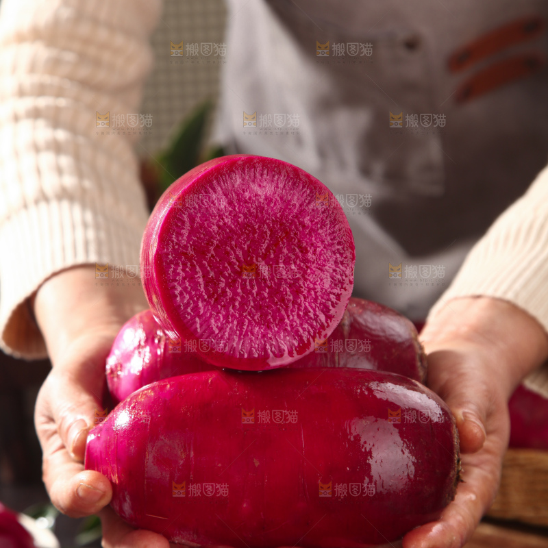 紫美人萝卜