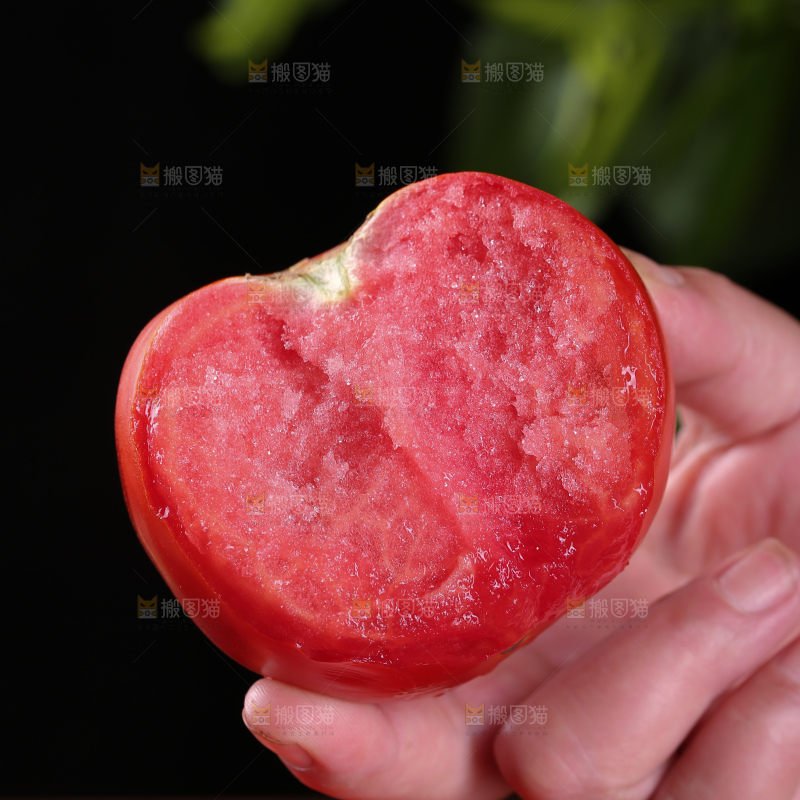 普罗旺斯西红柿