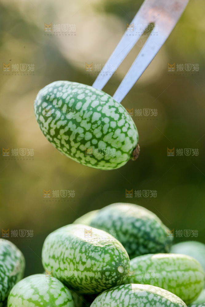 拇指西瓜