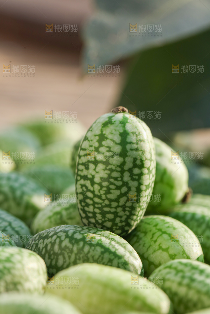拇指西瓜