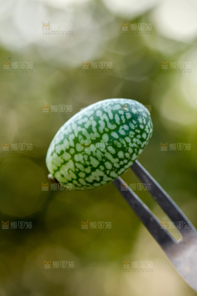 拇指西瓜