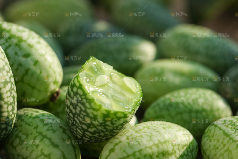 拇指西瓜