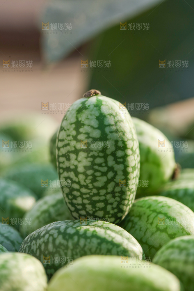 拇指西瓜