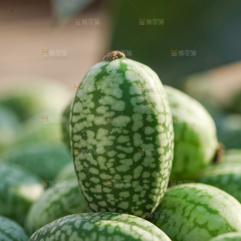 拇指西瓜