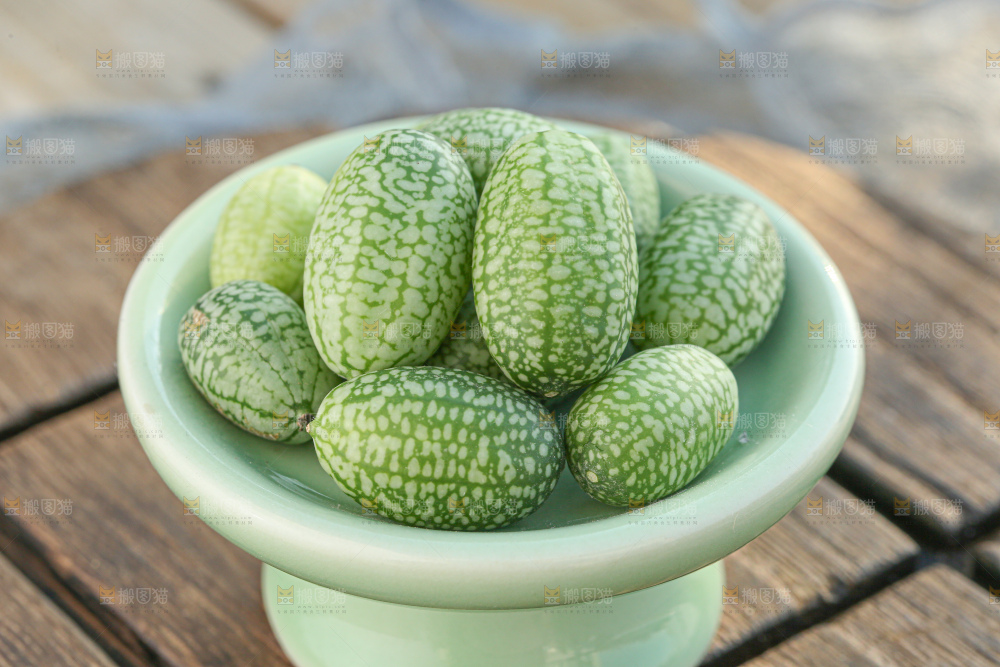 拇指西瓜