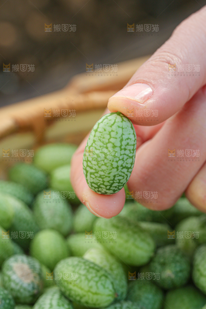 拇指西瓜