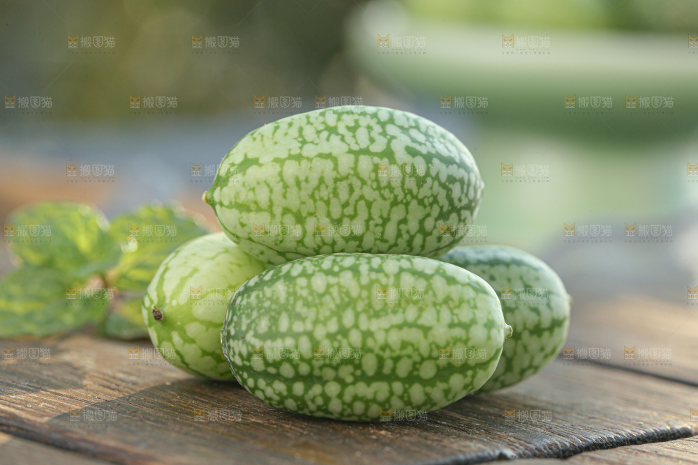 拇指西瓜