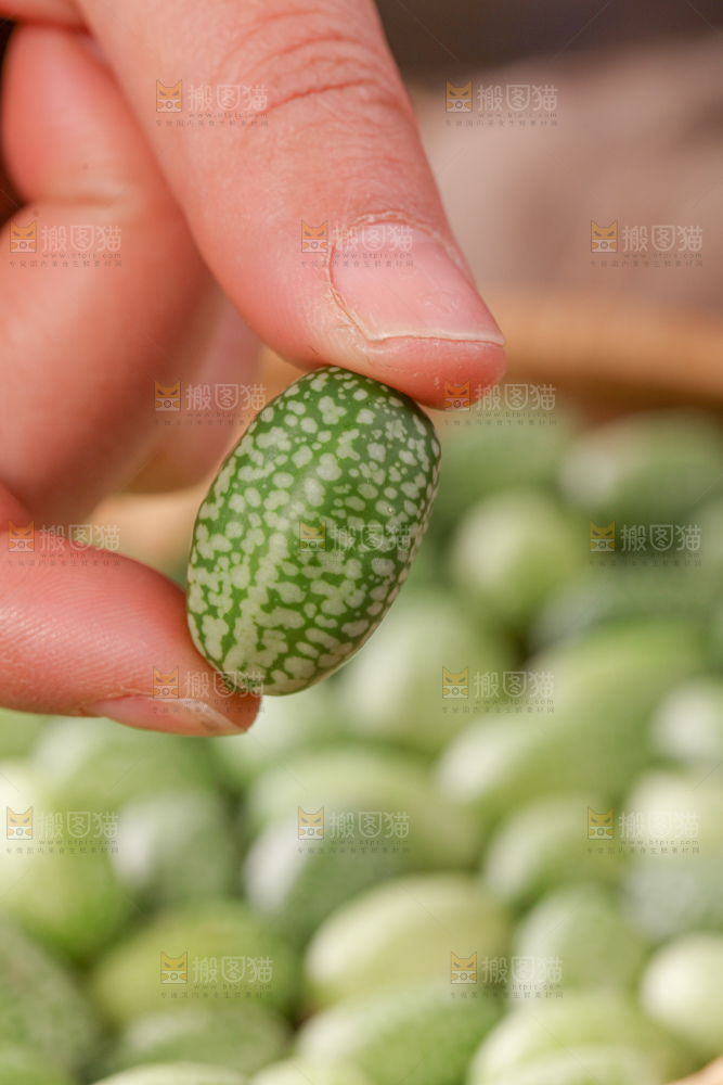 拇指西瓜