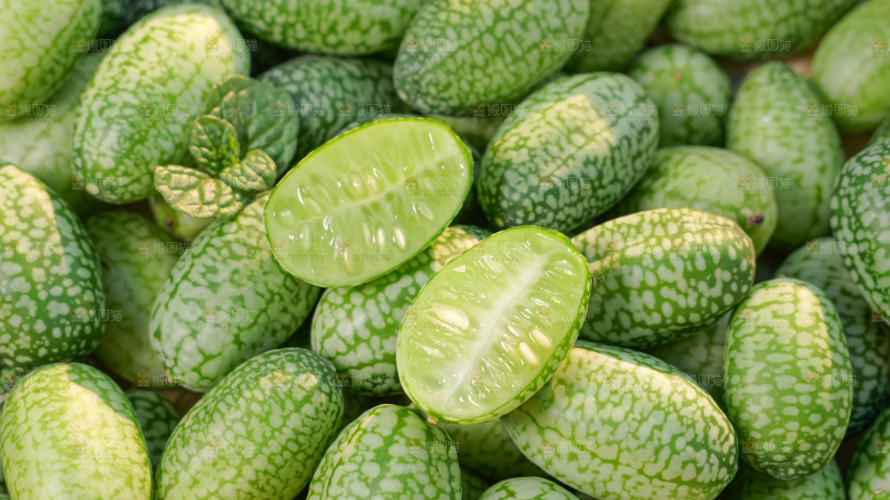 拇指西瓜