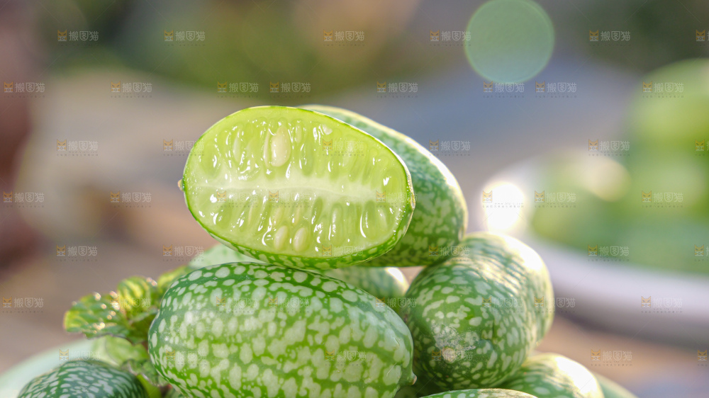 拇指西瓜