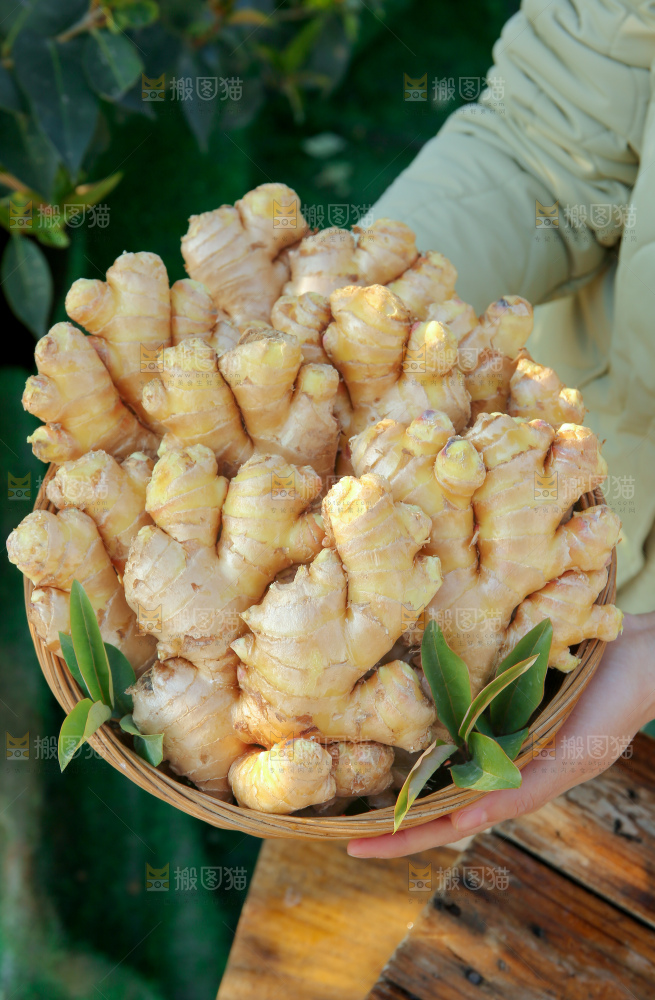 小黄姜