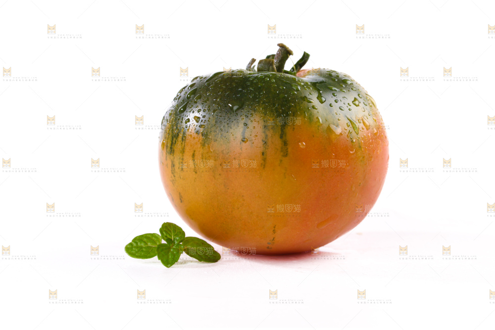 铁皮草莓柿子