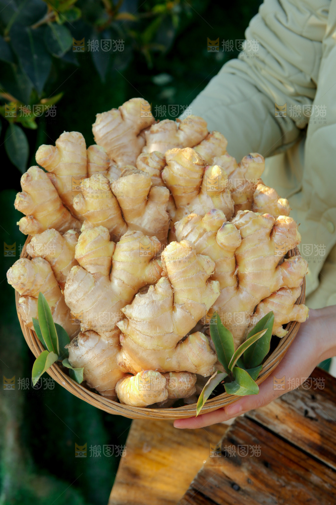 小黄姜