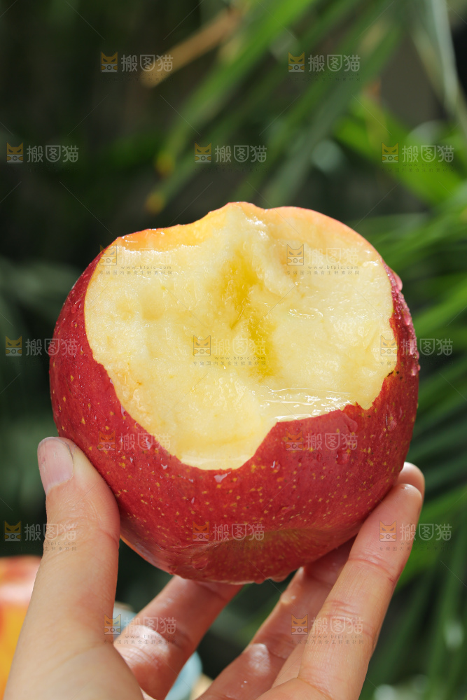 福布瑞斯苹果