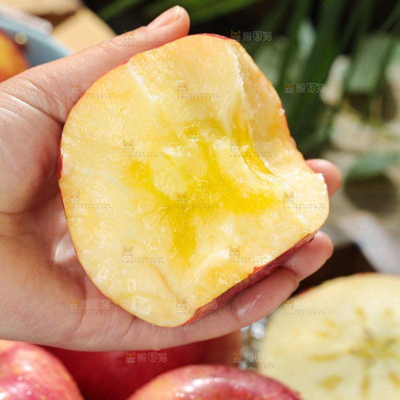 福布瑞斯苹果