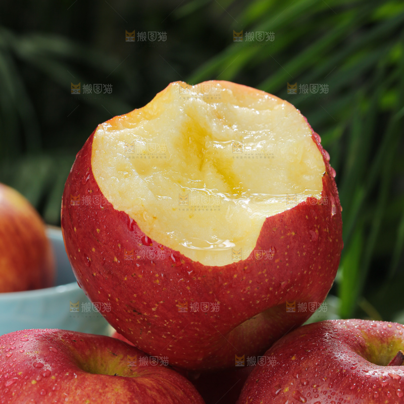 福布瑞斯苹果
