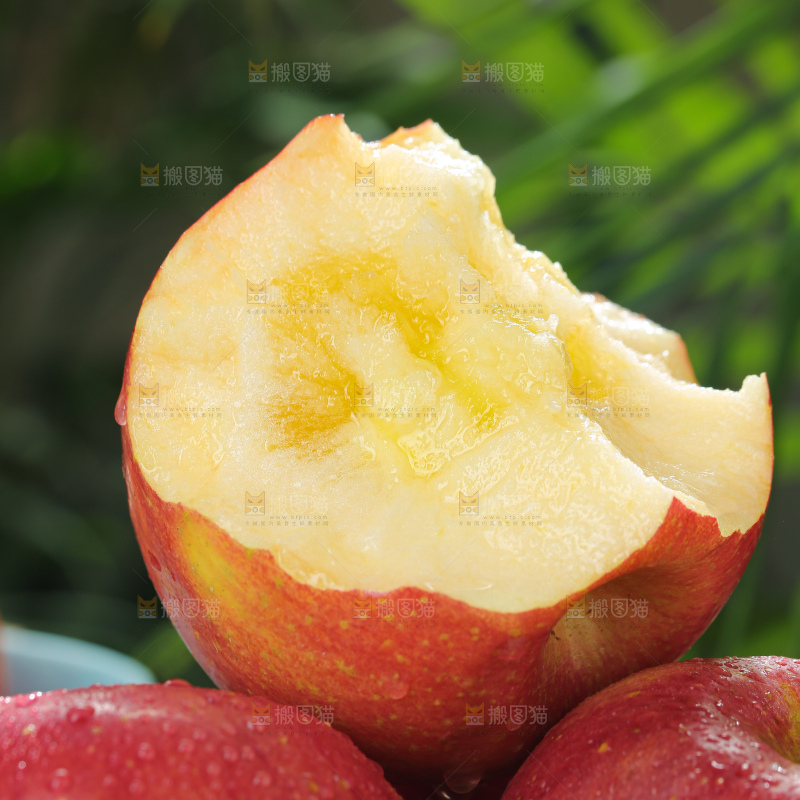 福布瑞斯苹果