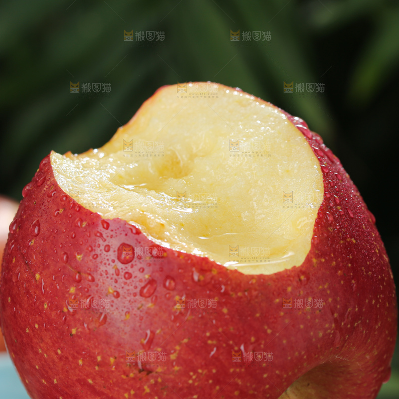 福布瑞斯苹果