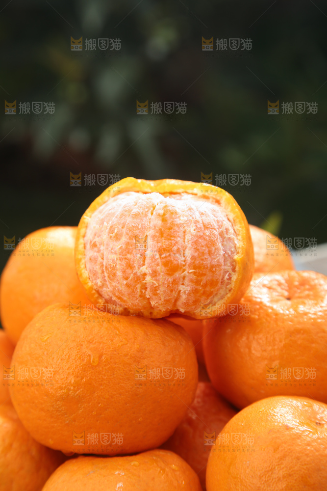 椪柑