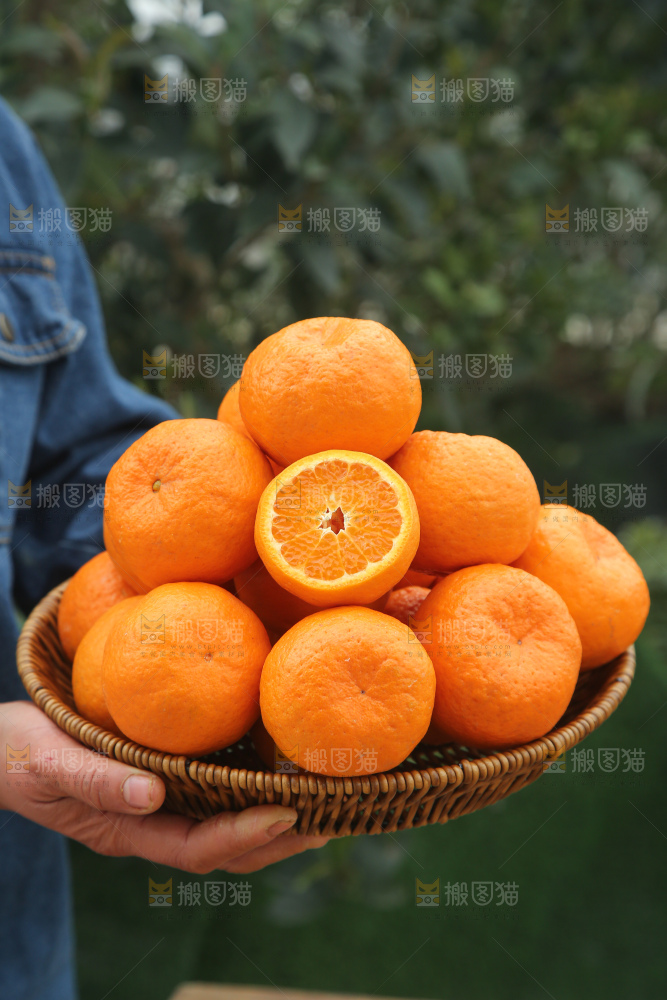 椪柑